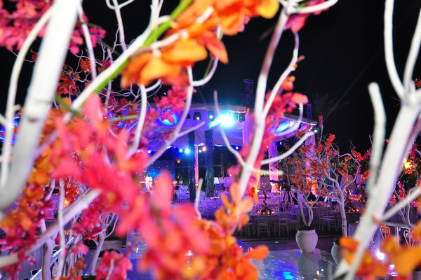 Wedding @ Edde Sands